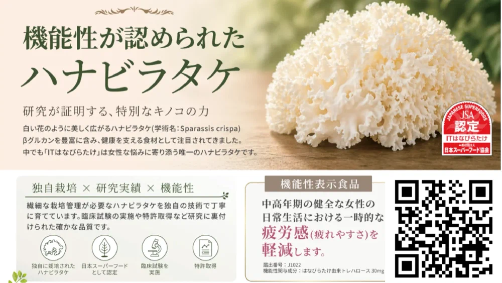 「ITはなびらたけ」普及支援